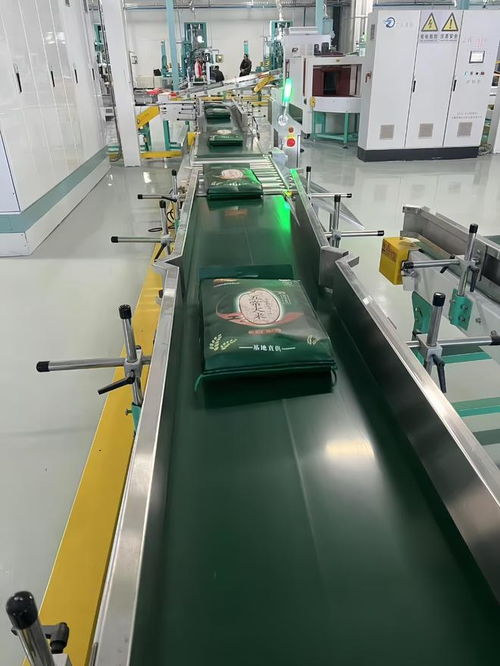 亲测指南 认准GB/T 19266，选购货真价实的五常大米